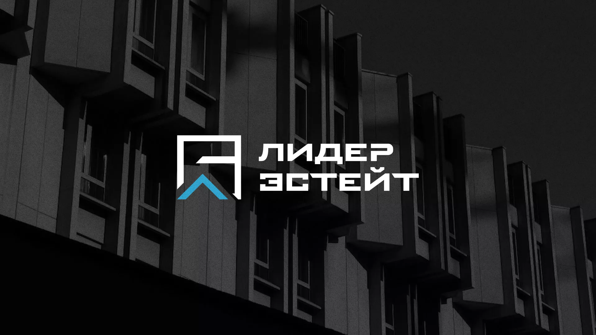 Разработка логотипа агентства недвижимости «Лидер Эстейт» в Орлове